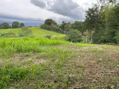 Terrain à bâtir, 1 288 m²