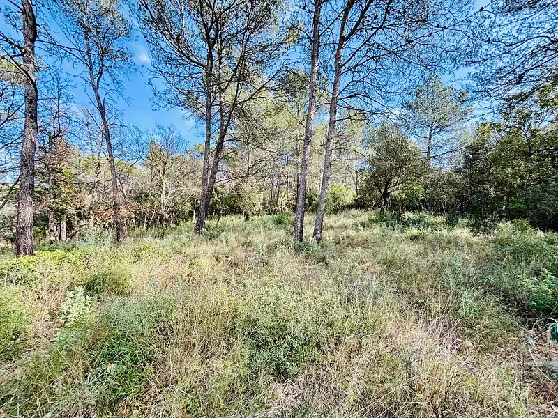 Terrain à bâtir, 964 m² - Rocbaron (83136)