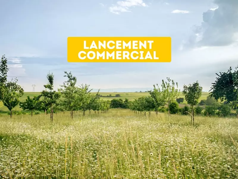 LANGMATTEN - Schwobsheim (67390)