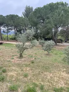 Terrain à bâtir, 409 m²