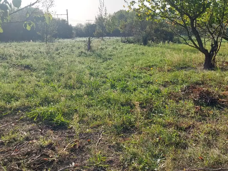 Terrain à bâtir, 322 m² - Istres (13800)