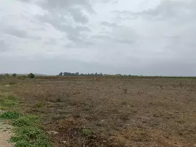 Maison neuve, 73 m²