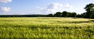 Maison neuve, 90 m²