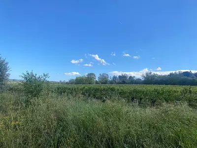 Terrain à bâtir, 460 m²