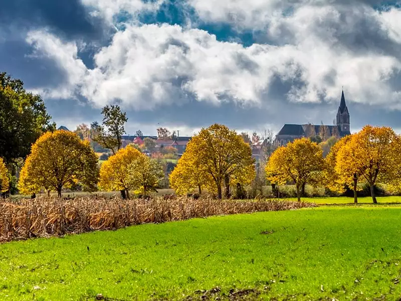 Terrain à bâtir, 384 m² - La Chapelle-Saint-Florent (49410)