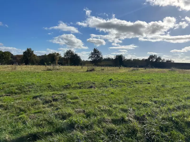 Terrain à bâtir, 886 m² - Saint-Selve (33650)