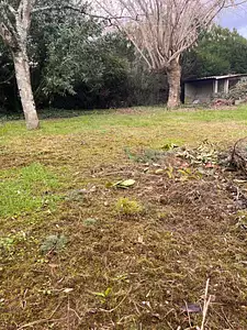 Maison neuve, 65 m²