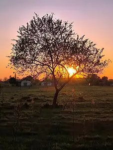 Maison neuve, 107 m²