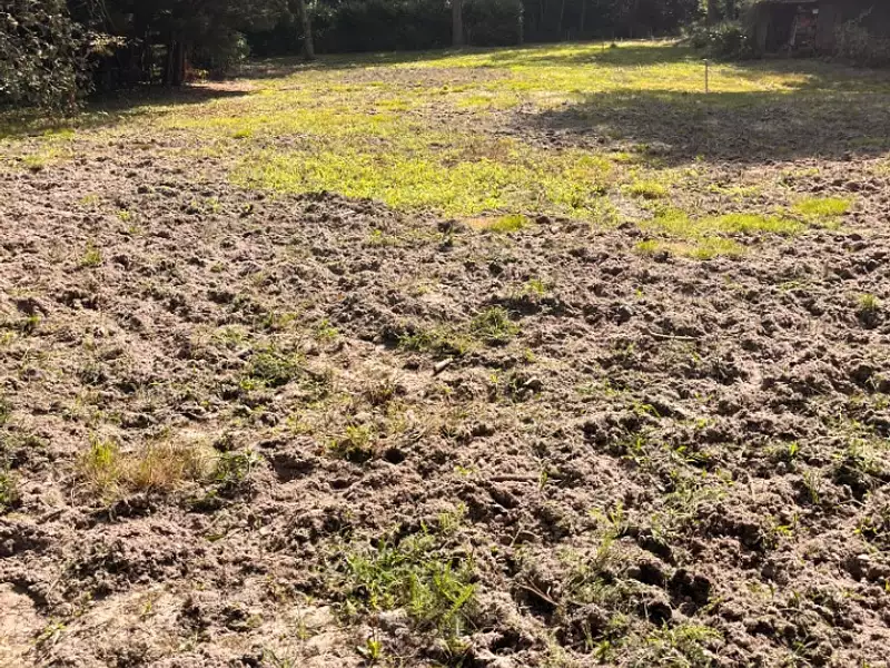 Terrain à bâtir, 720 m² - La Brède (33650)
