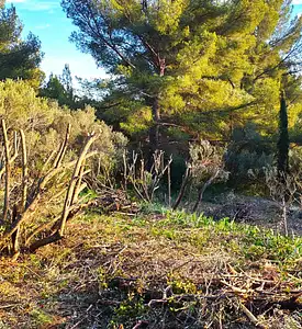 Maison neuve, 90 m²