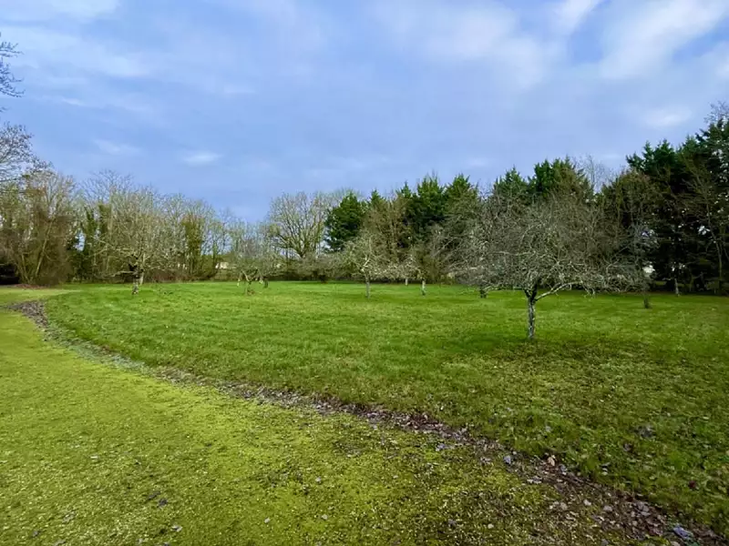Terrain à bâtir, 2 650 m² - Châtellerault (86100)