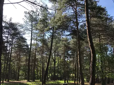 Terrain à bâtir, 3 969 m²