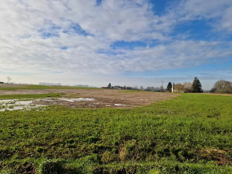 Maison neuve, 132 m² - Bréauté (76110)