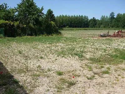 Terrain à bâtir, 489 m² - Faux-Fresnay (51230)