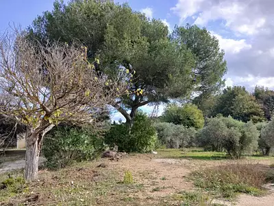 Maison neuve, 95 m²