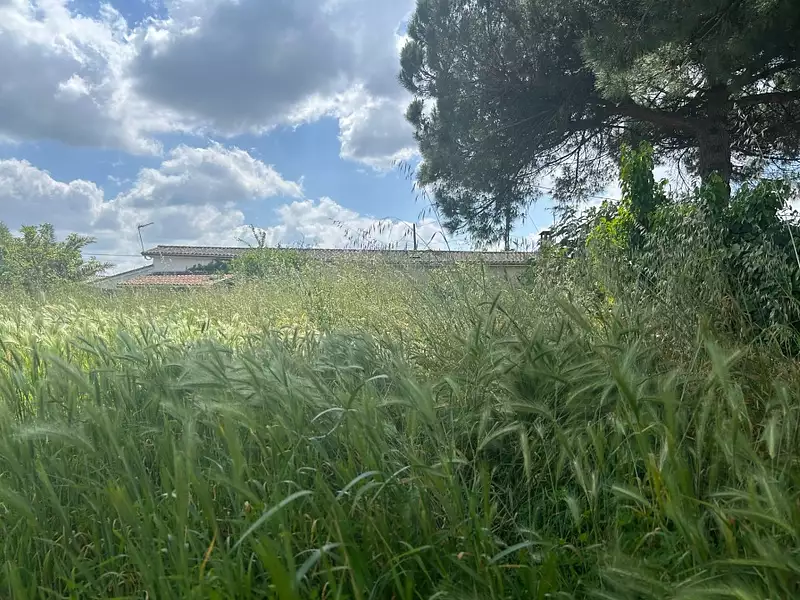 Terrain à bâtir, 800 m² - Portets (33640)