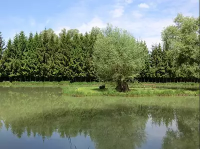 Nuanciel