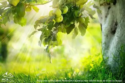 Maison neuve, 80 m²