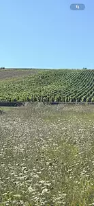 Maison neuve, 79 m²