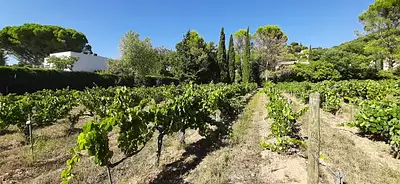 Maison neuve, 140 m²