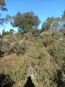 Terrain à bâtir, 670 m²