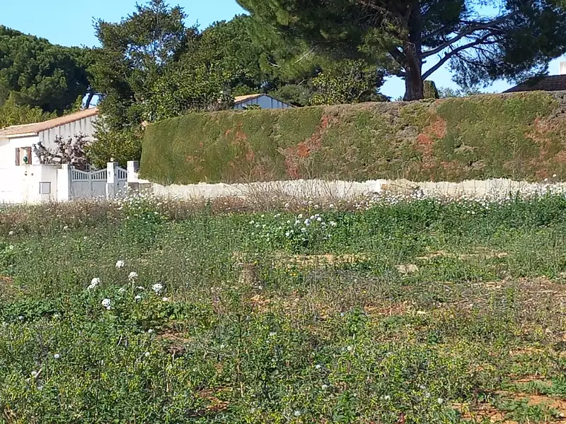 Terrain à bâtir, 315 m² - Mauguio (34130)