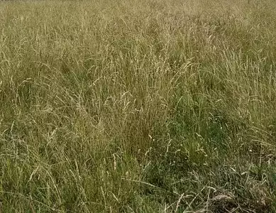 Maison neuve, 89 m²