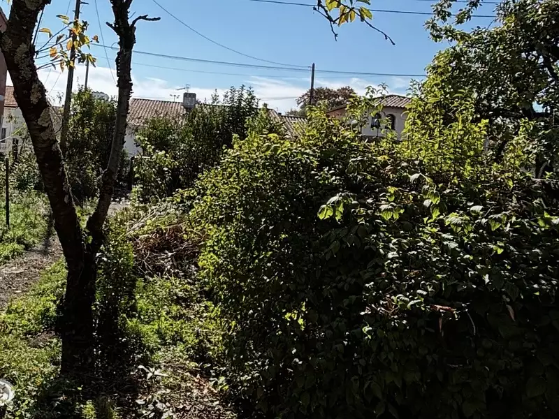 Terrain à bâtir, 250 m² - Bordeaux (33100)