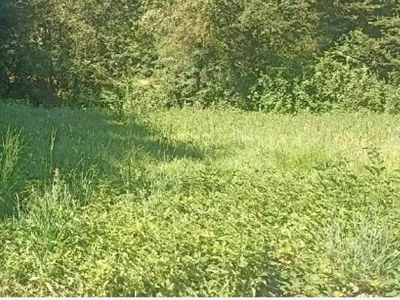 Terrain à bâtir, 804 m² - Villeneuve-en-Retz (44580)