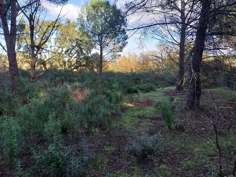 Terrain à bâtir, 656 m² - Puget-sur-Argens (83480)