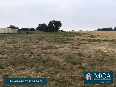 Maison neuve, 60 m²