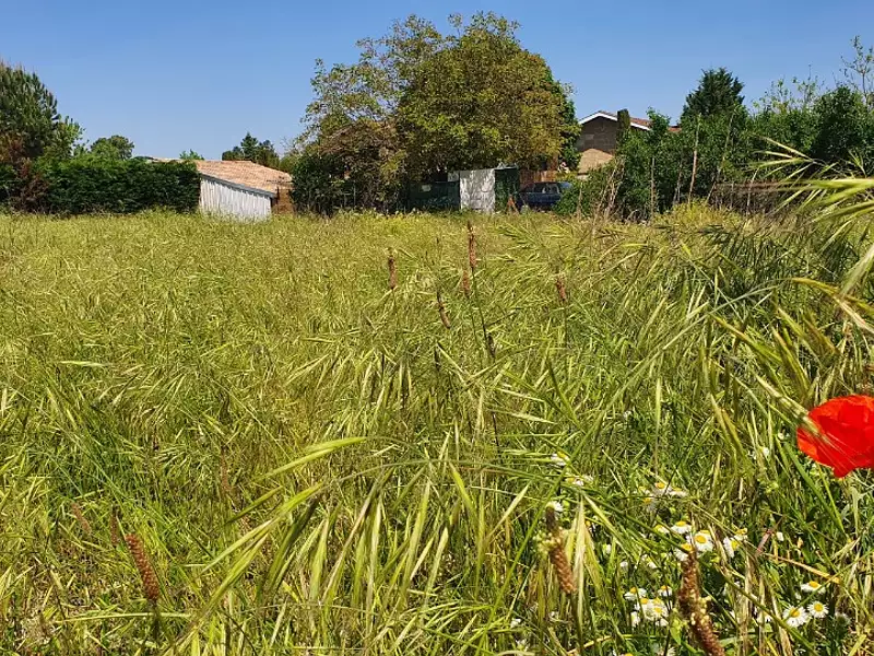 Terrain à bâtir, 650 m² - Cestas (33610)