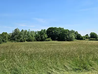 Maison neuve, 90 m²