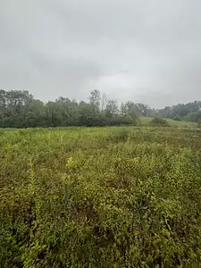 Maison neuve, 100 m²