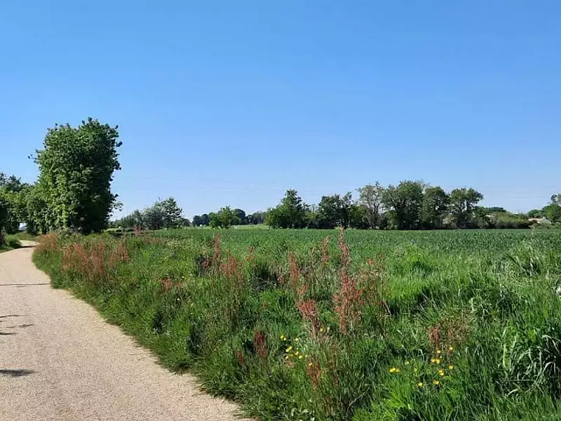 Terrain à bâtir, 438 m² - Angles (85750)