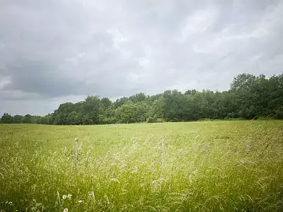 Terrain à bâtir, 445 m²