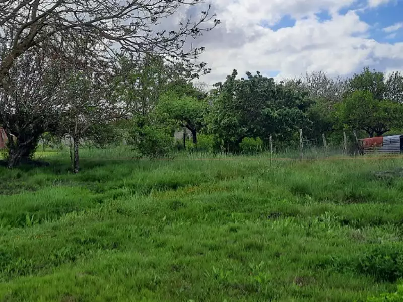 Terrain à bâtir, 630 m² - Gujan-Mestras (33470)