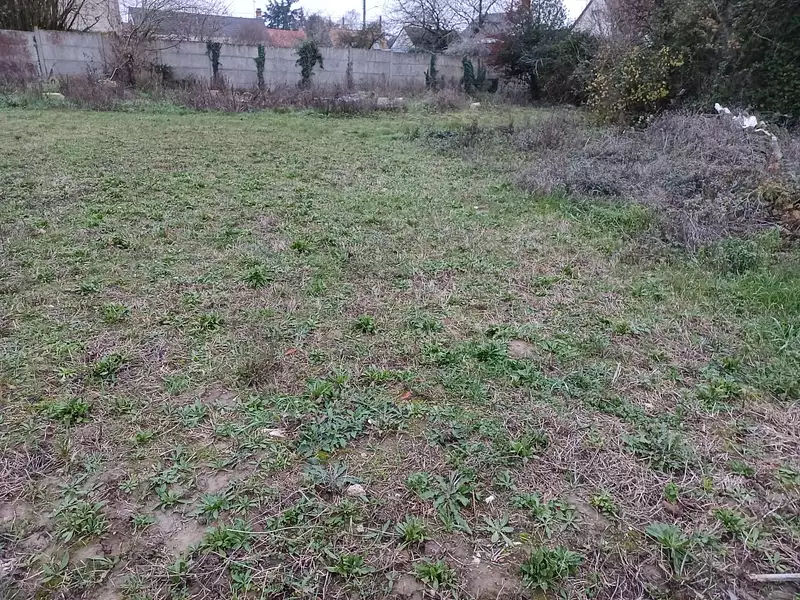 Maison neuve, 106 m² - Ménestreau-en-Villette (45240)
