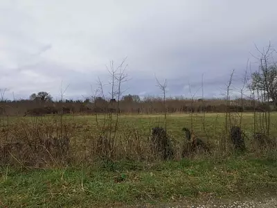 Terrain à bâtir, 460 m²