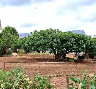 Maison neuve, 105 m²