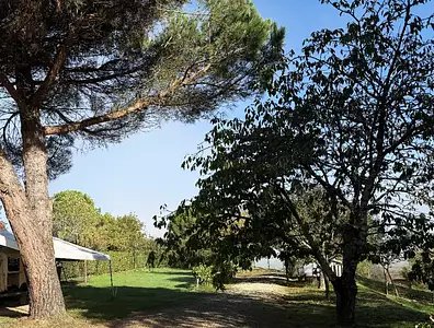 Terrain à bâtir, 1 900 m²