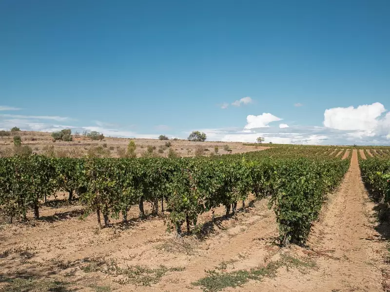 Terrain à bâtir, 560 m² - Lignan-sur-Orb (34490)