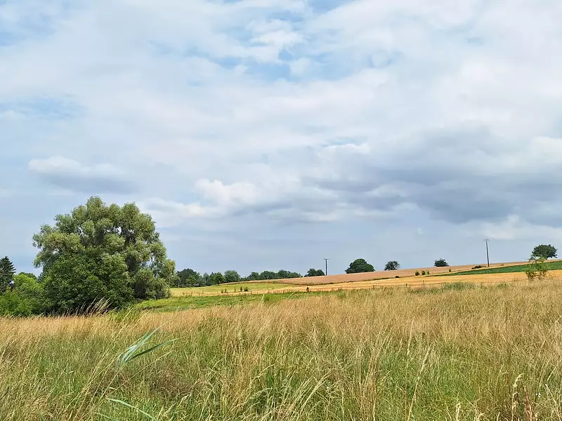 Maison neuve, 130 m² - Koetzingue (68510)