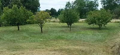 Maison neuve, 117 m²