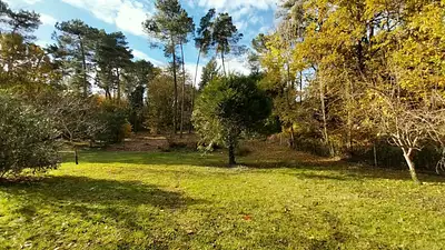 Terrain à bâtir, 1 500 m²