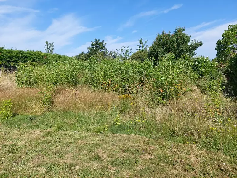 Terrain à bâtir, 700 m² - Gragnague (31380)