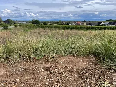 Terrain à bâtir, 459 m²