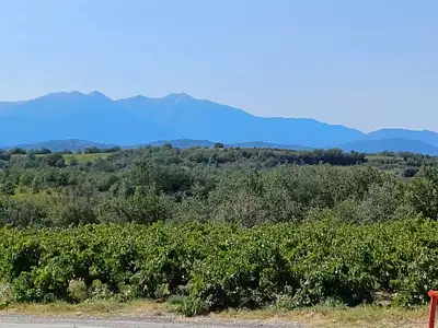 Terrain à bâtir, 446 m²
