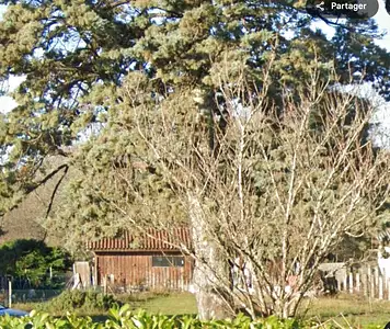 Maison neuve, 100 m²