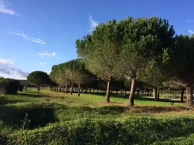 Maison neuve, 144 m²